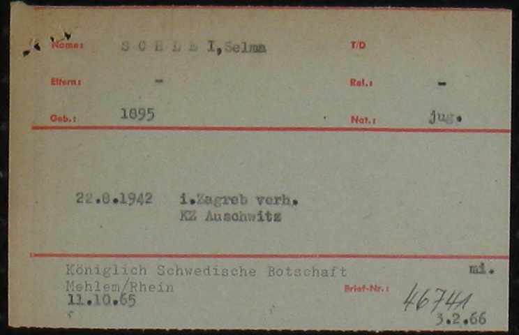 Cohen-in-Slaj-Schlei-Selma-madre-di-Morci-Arolsen-82704410-001