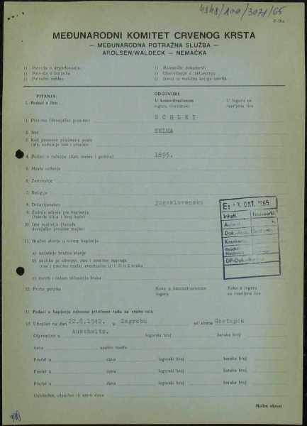 Cohen-in-Slaj-Schlei-Selma-madre-di-Morci-Arolsen-82704412-004