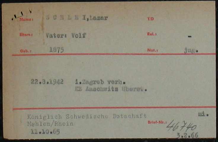 Slaj-Schlei-Lazar-padre-di-Morci-Arolsen-82704406-001